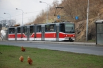 9077